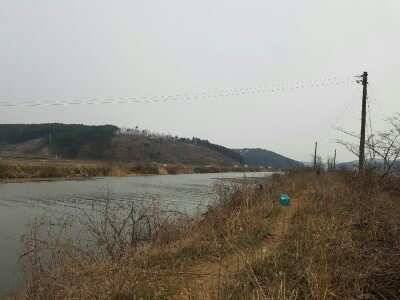 서태안권 허리급월척 (조황조행기 - 낚시점조황)