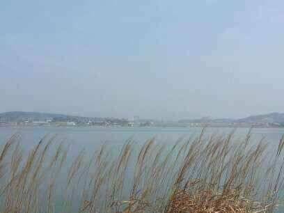 서태안권안면도권 출조시 참고하세요 (조황조행기 - 낚시점조황)