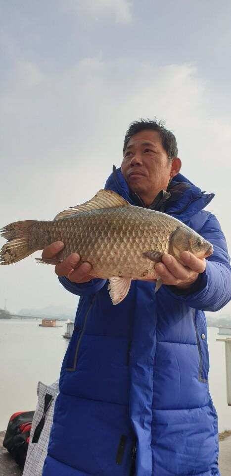 충주탄금호낚시4짜조황 (조황조행기 - 낚시점조황)