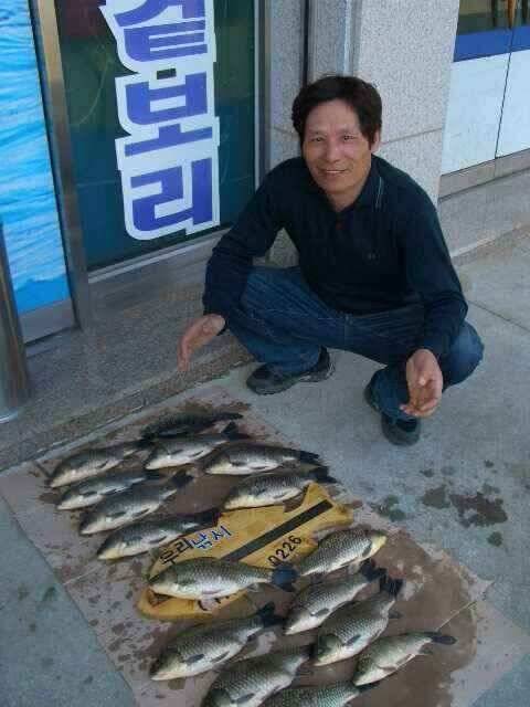서태안 저수지 수로권 실시간 조황 (조황조행기 - 낚시점조황)