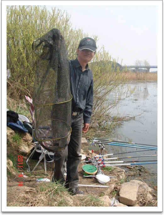 진위천 주말 까지 호조황으로 이어 질듯 (조황조행기 - 낚시점조황)