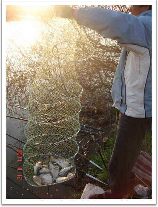 진위천 조황은 점점 좋아지고있습니다 (조황조행기 - 낚시점조황)
