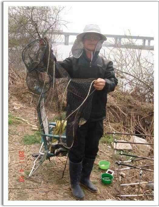진위천 산란임박 (조황조행기 - 낚시점조황)