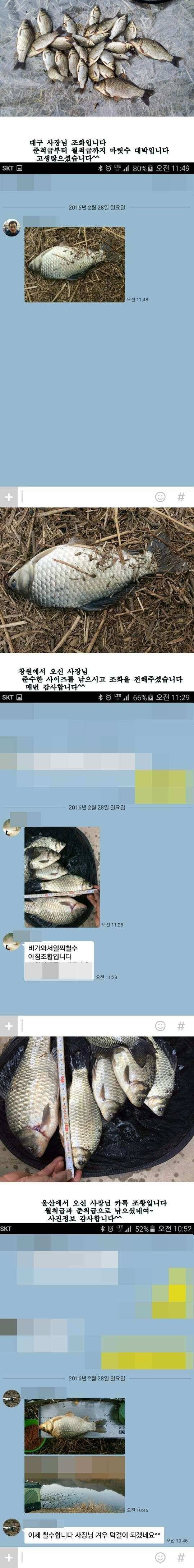 밀양옥산낚시22734까지 (조황조행기 - 낚시점조황)