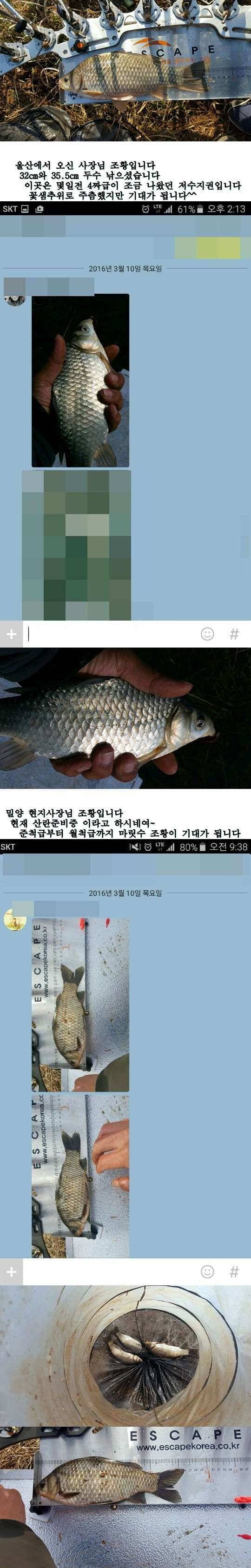밀양옥산낚시36312까지 (조황조행기 - 낚시점조황)