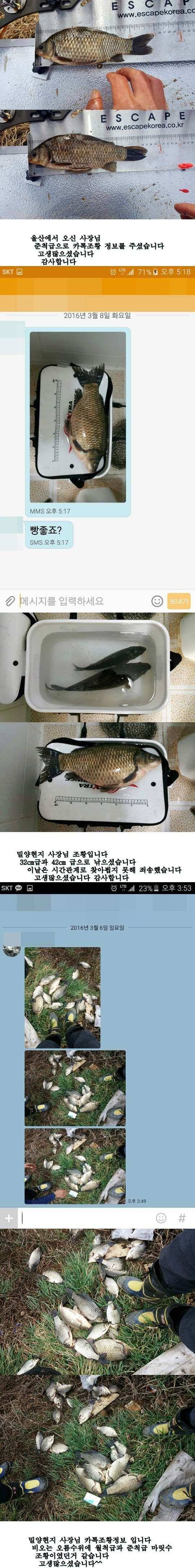 밀양옥산낚시36312까지 (조황조행기 - 낚시점조황)