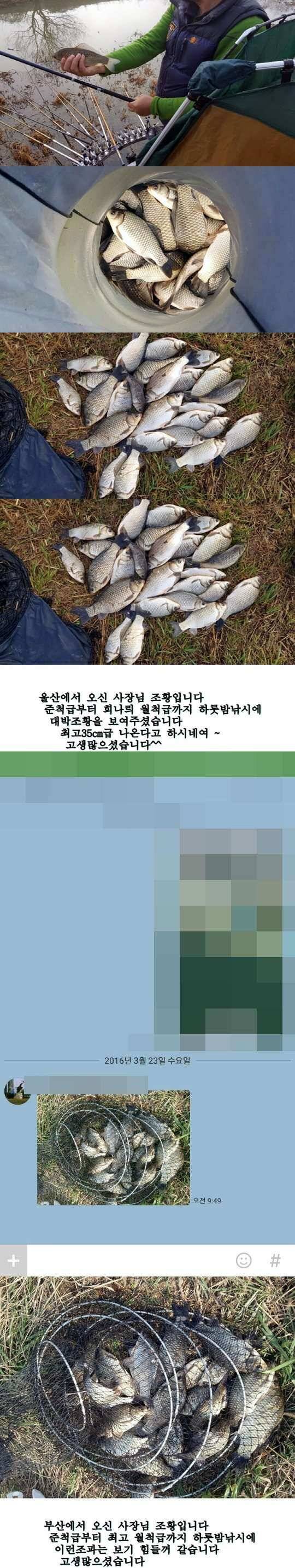 밀양권 4짜 호조황소식320323까지 (조황조행기 - 낚시점조황)