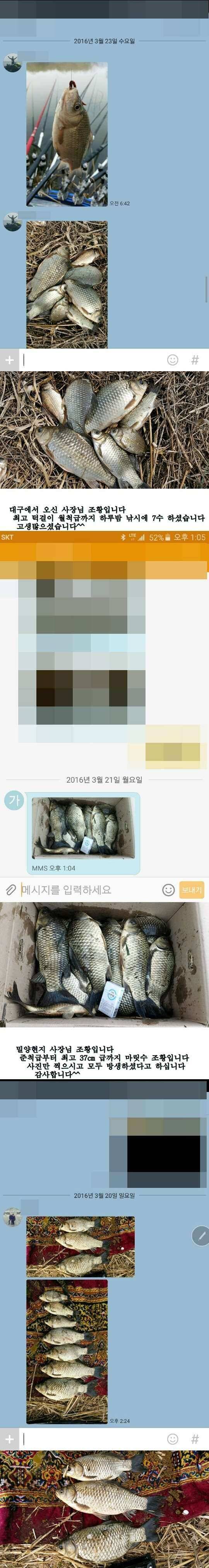밀양권 4짜 호조황소식320323까지 (조황조행기 - 낚시점조황)