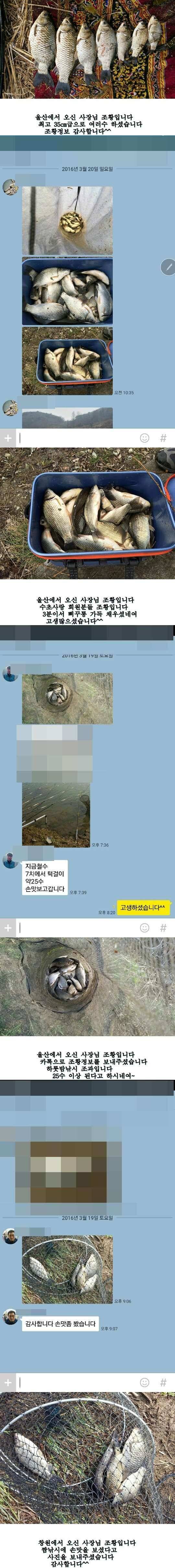 밀양권 4짜 호조황소식320323까지 (조황조행기 - 낚시점조황)