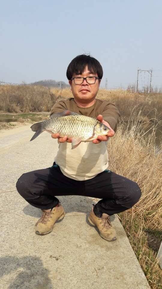 봄이찾아 오듯 붕어소식도 들려 옵니다 (조황조행기 - 낚시점조황)