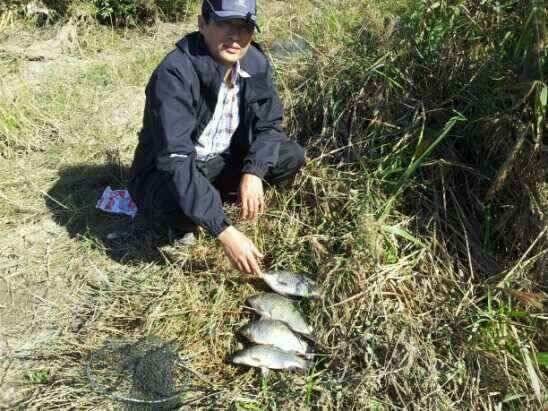 기록 시즌입니다 (조황조행기 - 낚시점조황)