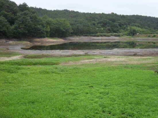 6월 마지막주 와촌 청통 주변 조황 정보입니다 (조황조행기 - 낚시점조황)