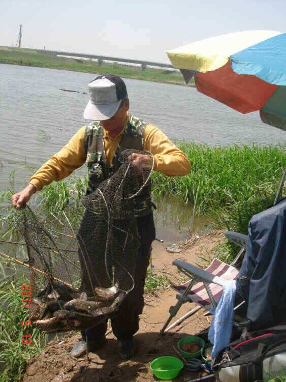 진위천 조황 소식 (조황조행기 - 낚시점조황)