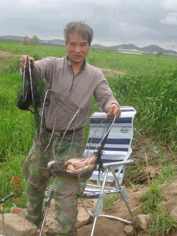 진위천 소식 (조황조행기 - 낚시점조황)