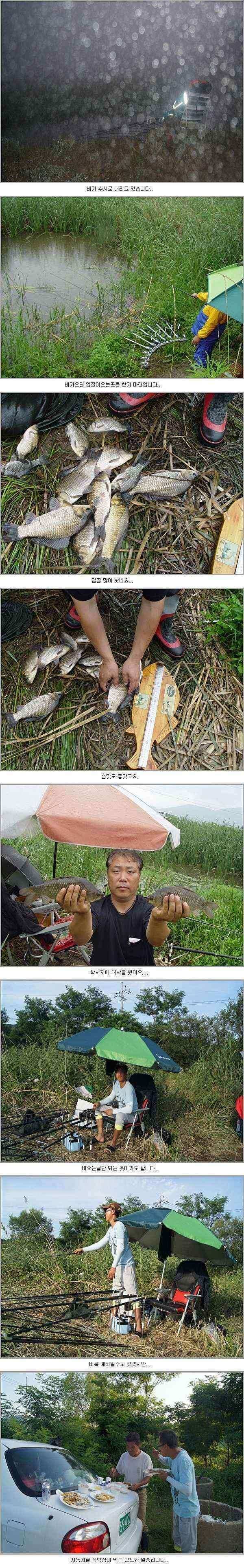구미지역 7월2주차 조황정보 (조황조행기 - 낚시점조황)