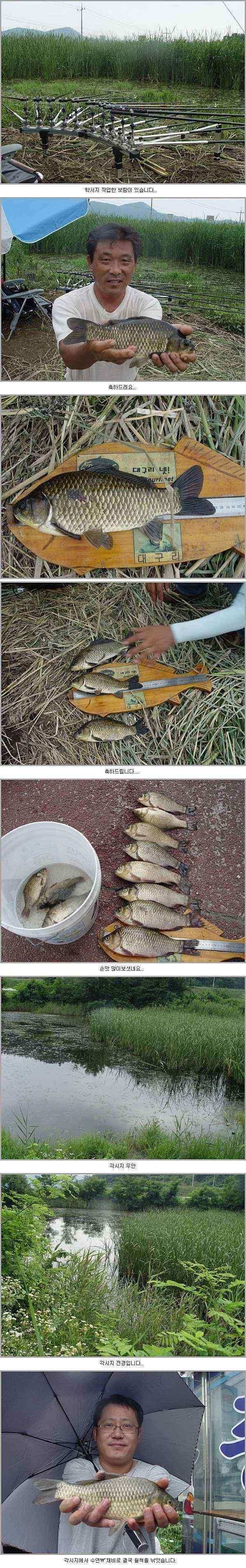 구미지역 7월2주차 조황정보 (조황조행기 - 낚시점조황)