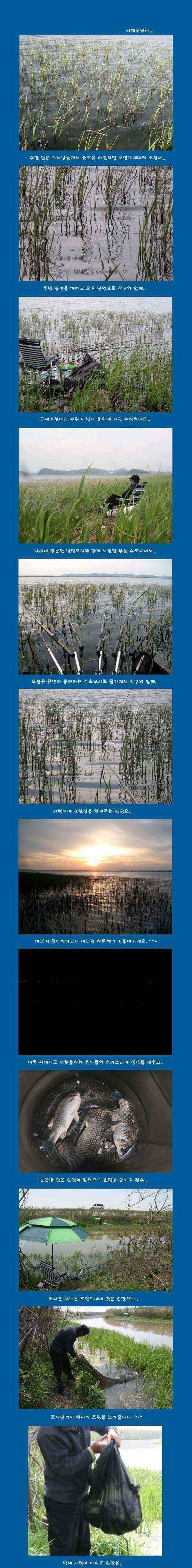 월척으로 손맛 (조황조행기 - 낚시점조황)