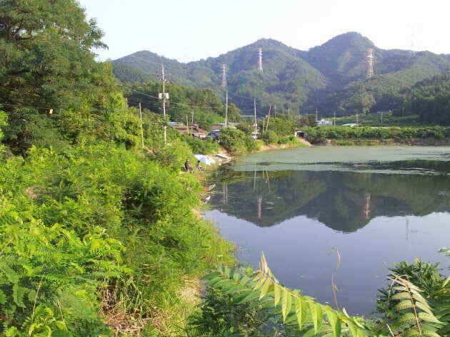 지금 출발 하십시요 (조황조행기 - 낚시점조황)