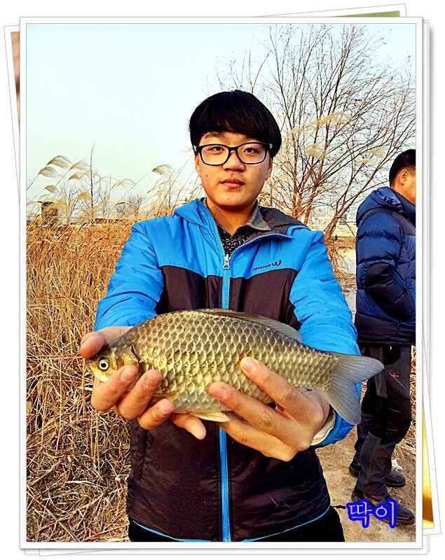 붕어가 보이기 시작합니다 (조황조행기 - 낚시점조황)