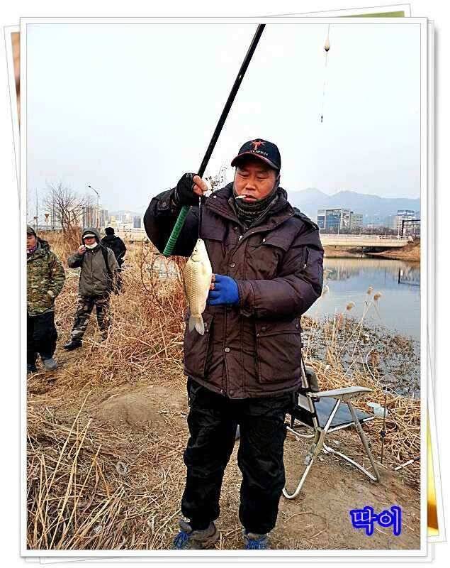 붕어가 보이기 시작합니다 (조황조행기 - 낚시점조황)