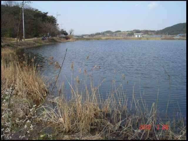 창녕권 조황 (조황조행기 - 낚시점조황)