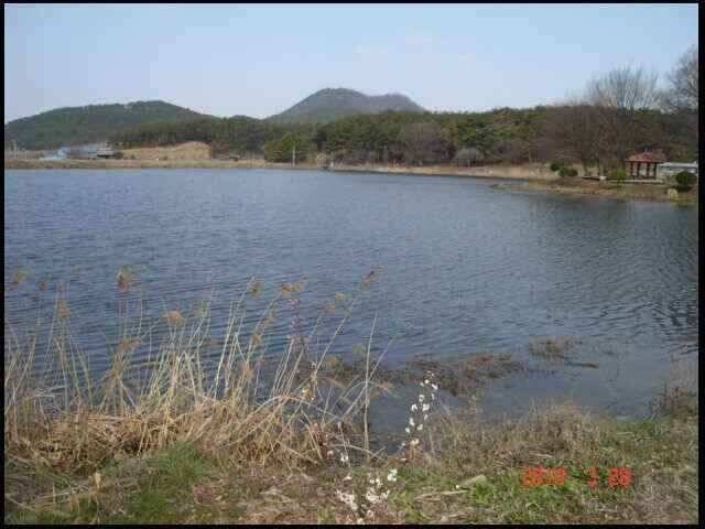 창녕권 조황 (조황조행기 - 낚시점조황)