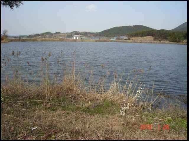 창녕권 조황 (조황조행기 - 낚시점조황)