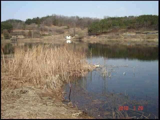 창녕권 조황 (조황조행기 - 낚시점조황)