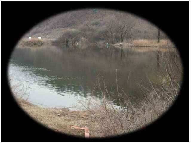 창녕권 조황 (조황조행기 - 낚시점조황)