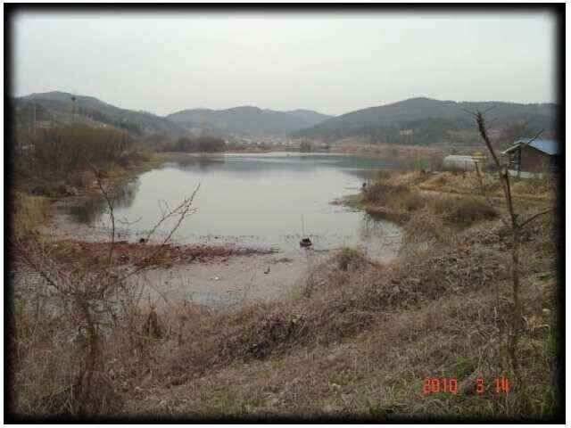 창녕권 조황 (조황조행기 - 낚시점조황)