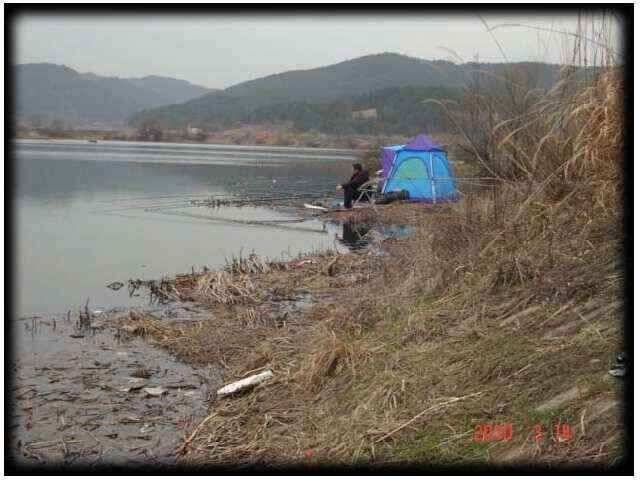 창녕권 조황 (조황조행기 - 낚시점조황)
