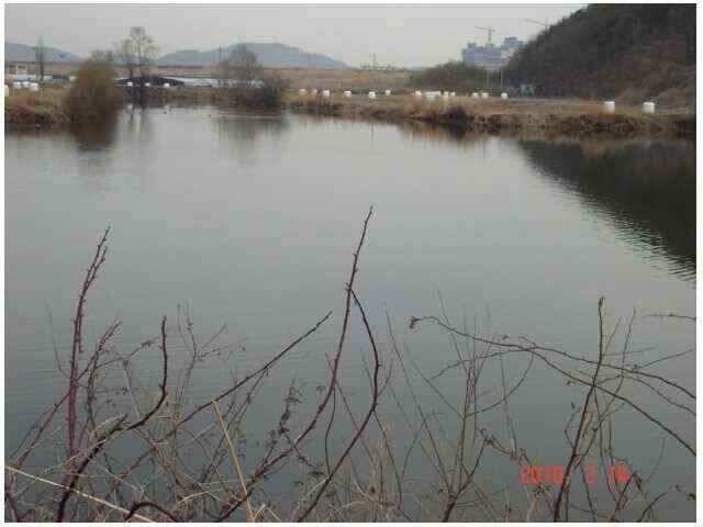 창녕권 조황 (조황조행기 - 낚시점조황)