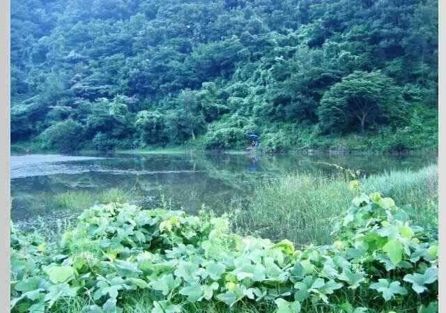월척붕어들의 육지나들이 (조황조행기 - 낚시점조황)