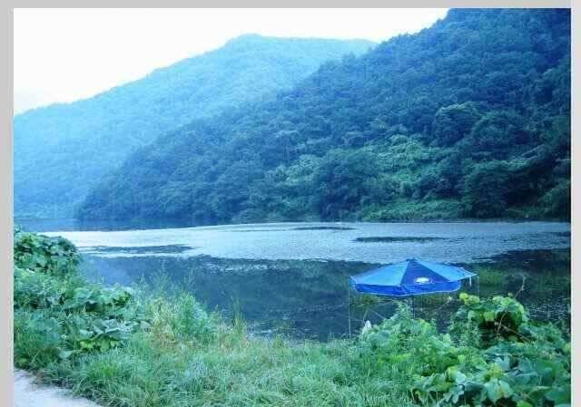 월척붕어들의 육지나들이 (조황조행기 - 낚시점조황)