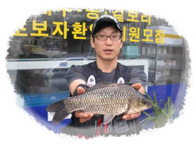 안녕하세요대물클럽입니다 (조황조행기 - 낚시점조황)