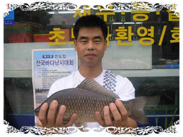 아4짜였는데 (조황조행기 - 낚시점조황)