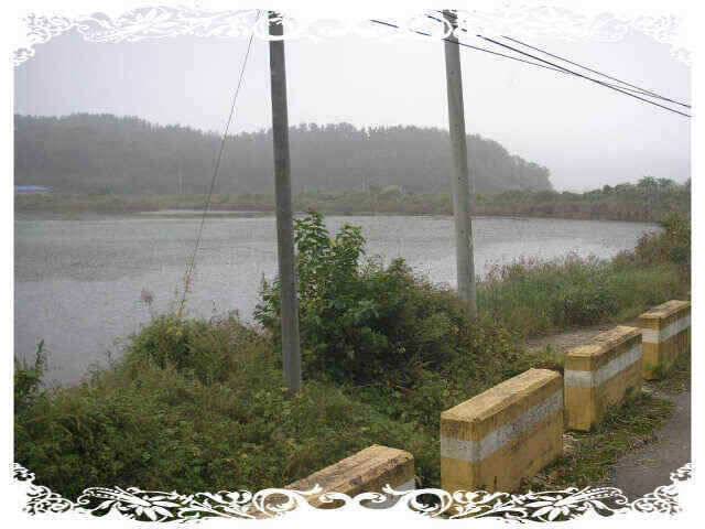 아4짜였는데 (조황조행기 - 낚시점조황)
