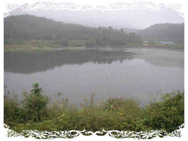 아4짜였는데 (조황조행기 - 낚시점조황)