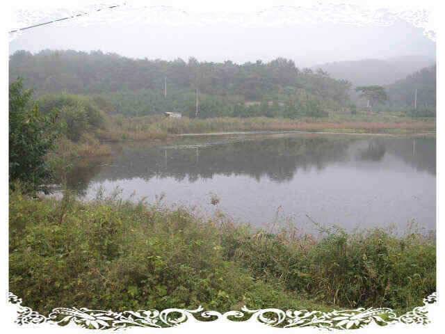 아4짜였는데 (조황조행기 - 낚시점조황)