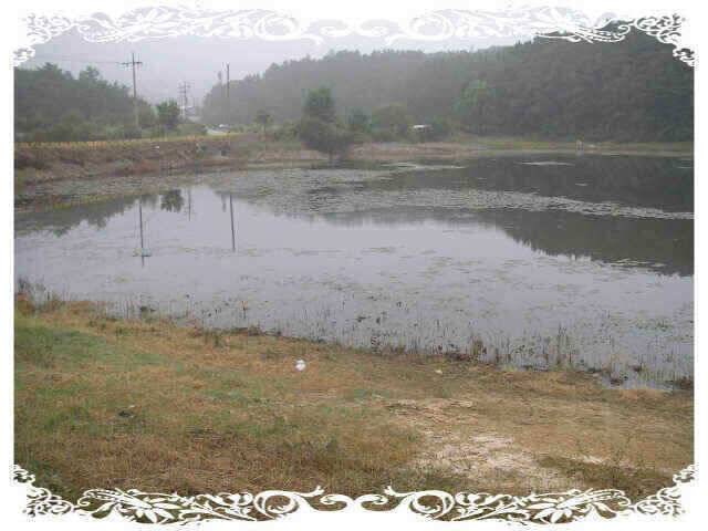 아4짜였는데 (조황조행기 - 낚시점조황)