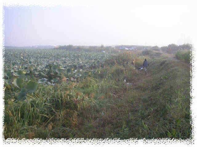 즐거운 추석명절 되세요 (조황조행기 - 낚시점조황)