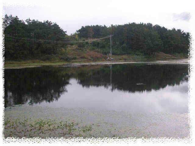 즐거운 추석명절 되세요 (조황조행기 - 낚시점조황)