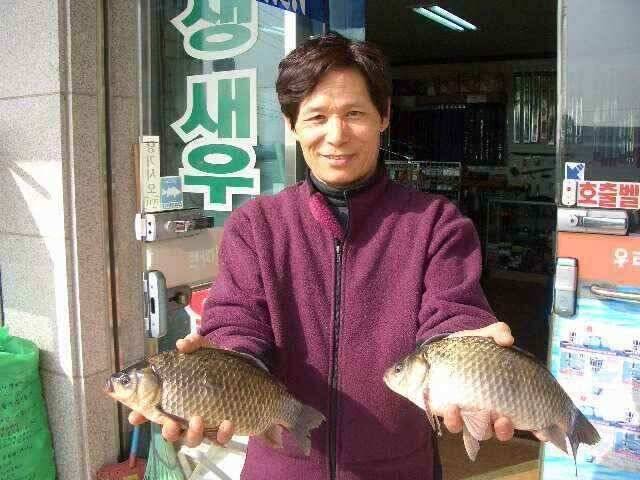 서태안 저수지 수로권 오전조황 (조황조행기 - 낚시점조황)