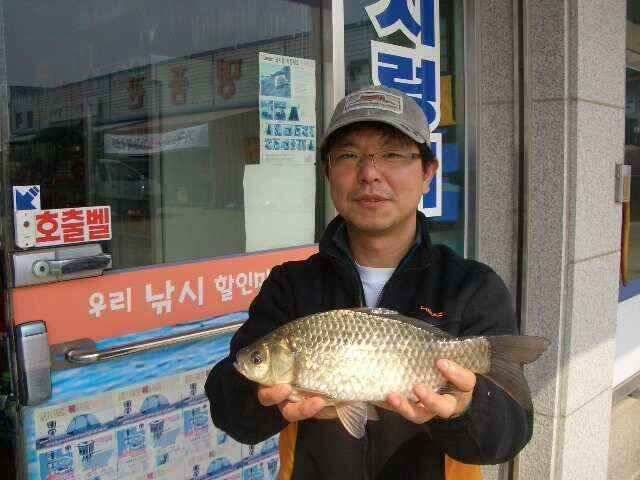 서태안 저수지 수로권 주말 조황 (조황조행기 - 낚시점조황)
