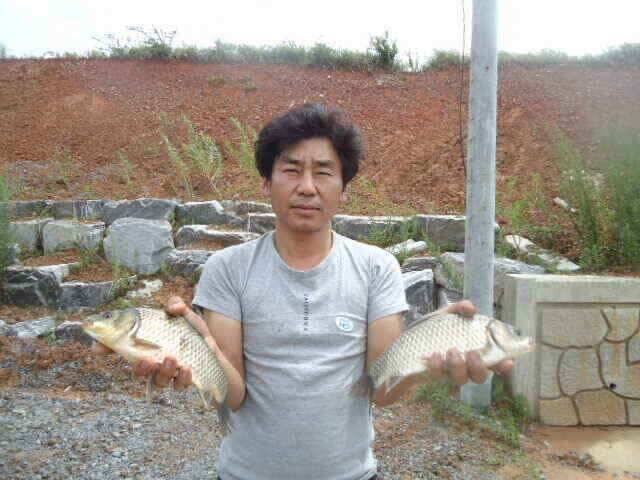 부남호 수위가 엄청나게 불었습니다 (조황조행기 - 낚시점조황)