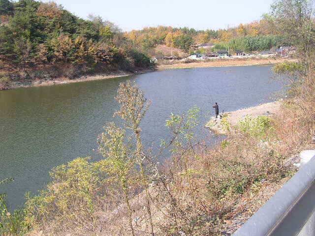 지난주 조황과 이번주 출조지 정보 (조황조행기 - 낚시점조황)