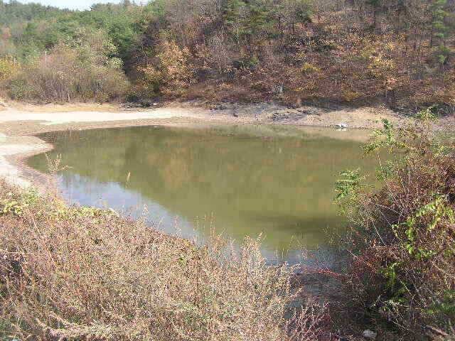 지난주 조황과 이번주 출조지 정보 (조황조행기 - 낚시점조황)