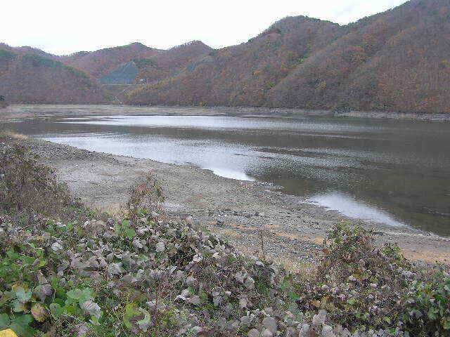 지난주 조황과 이번주 출조지 정보 (조황조행기 - 낚시점조황)