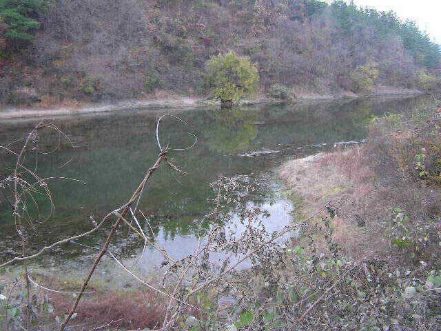 지난주 조황과 이번주 출조지 정보 (조황조행기 - 낚시점조황)