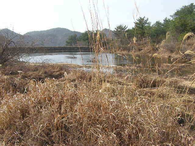 11월 넷째주 조황전망 (조황조행기 - 낚시점조황)
